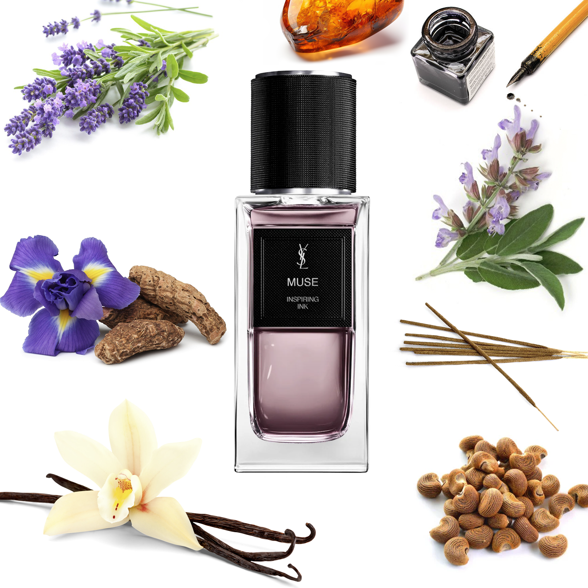 Yves Saint Laurent Muse – Olena's Aroma Shop