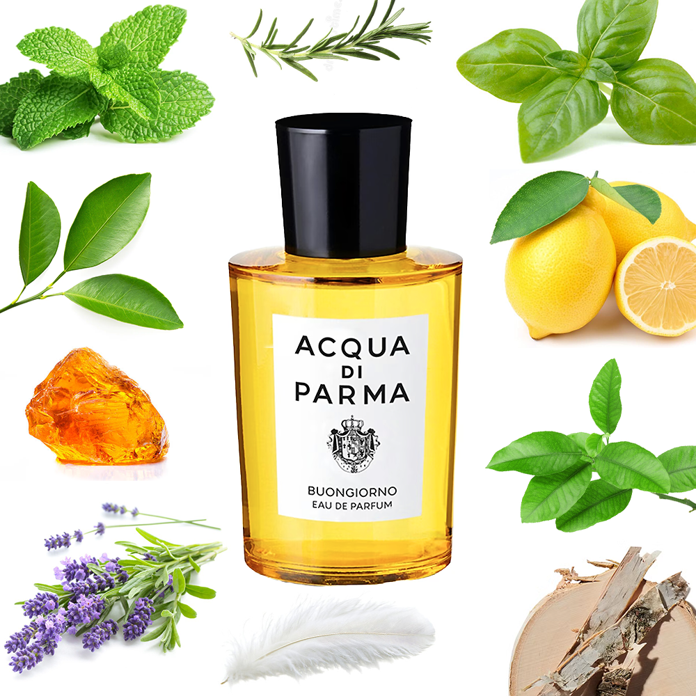 Acqua di Parma Buongiorno – Olena's Aroma Shop