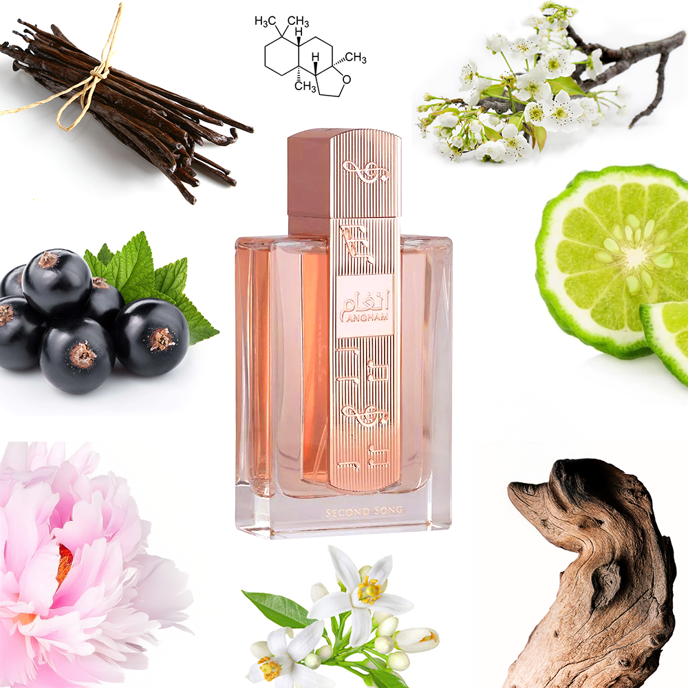 Lattafa Perfumes Angham Second Song – Olena's Aroma Shop