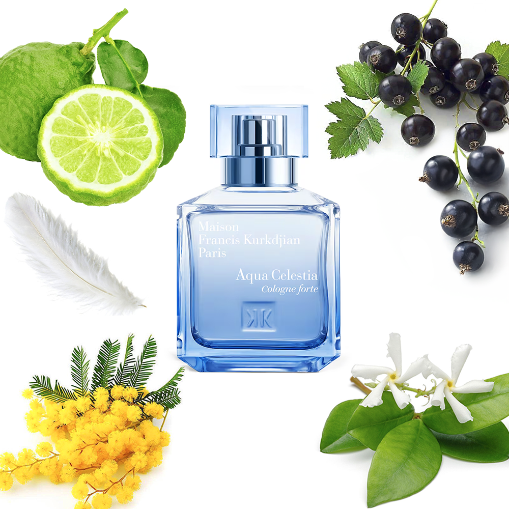 Maison Francis Kurkdjian Aqua Celestia Cologne Forte Decant Sample