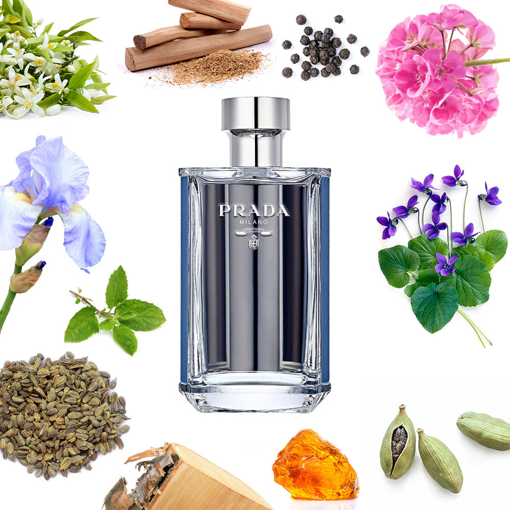 Prada Prada L'Homme – Olena's Aroma Shop