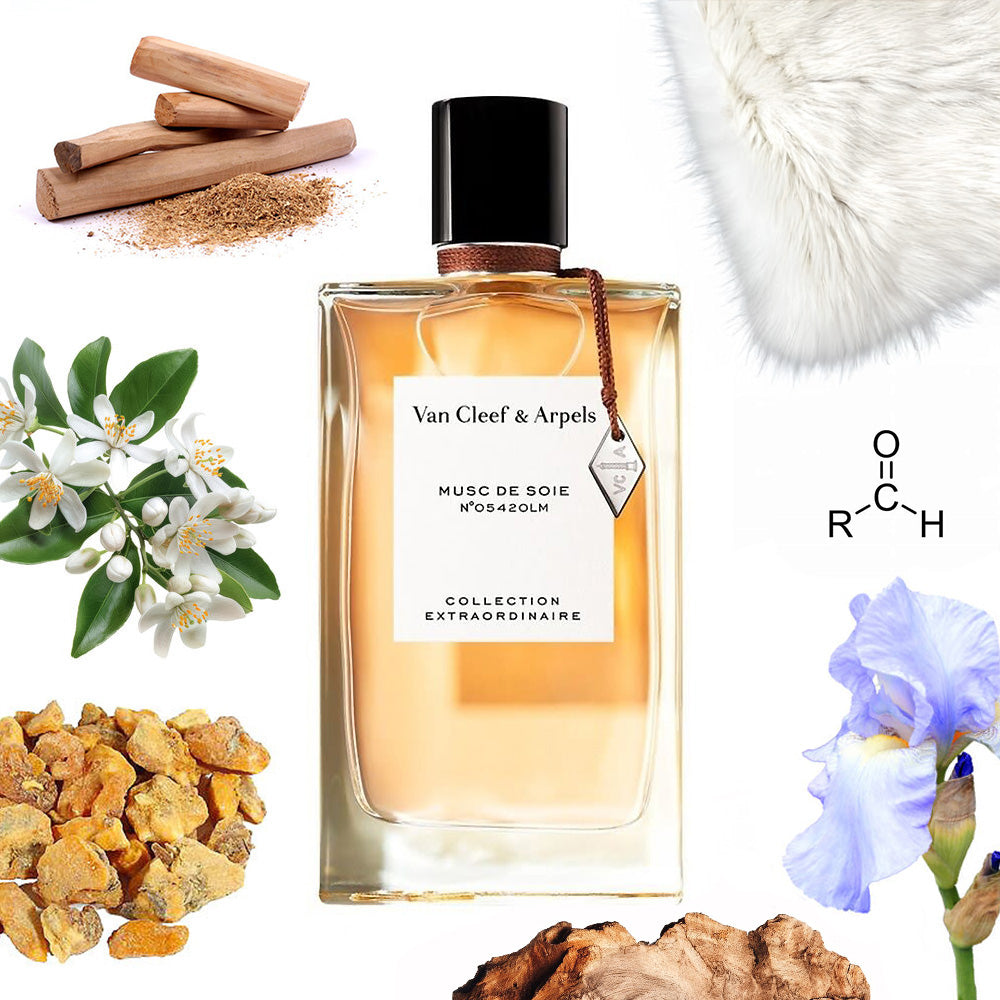 Van Cleef & Arpels Musc de Soie – Olena's Aroma Shop