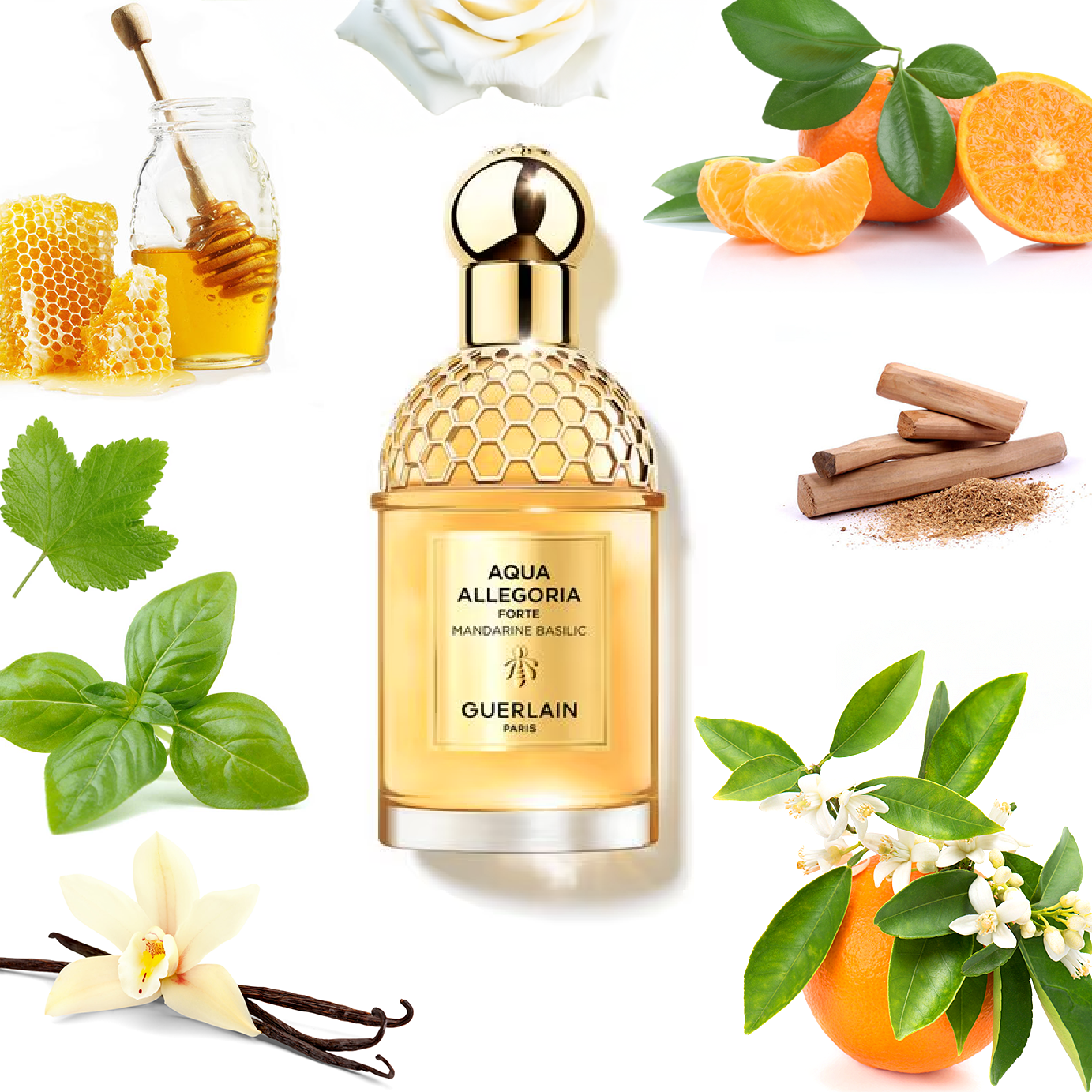 Guerlain Aqua Allegoria Forte Mandarine Basilic