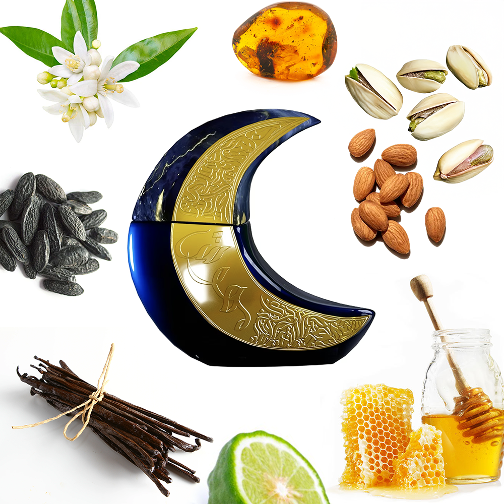 Paris Corner Mehwish