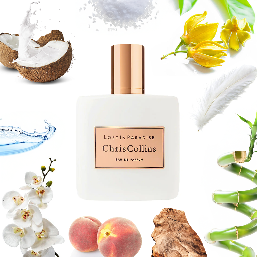 Chris Collins Lost in Paradise