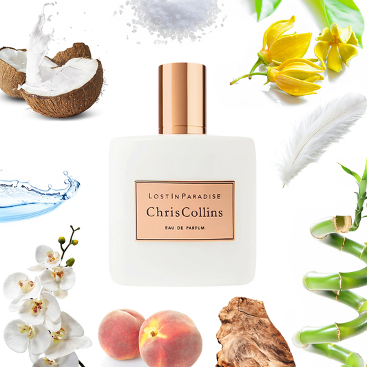 Chris Collins Lost in Paradise