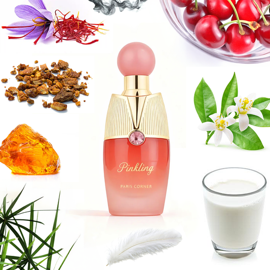 Paris Corner Pinkling