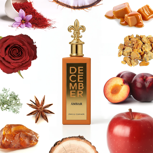 Paris Corner December Ambar