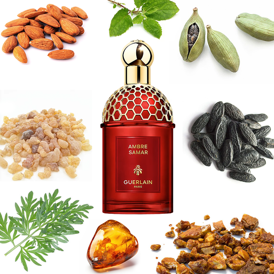 Guerlain Ambre Samar Absolus Allegoria