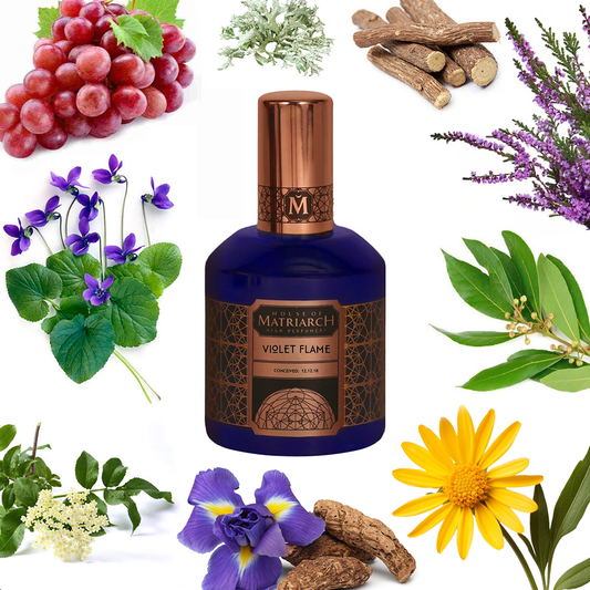 House of Matriarch Violet Flame