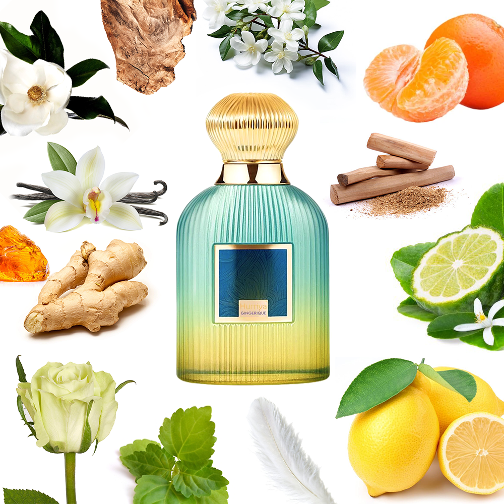 Paris Corner Hurriya Gingerique