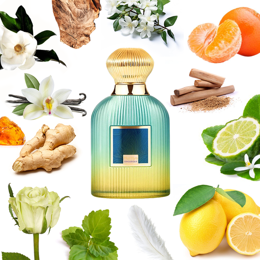 Paris Corner Hurriya Gingerique