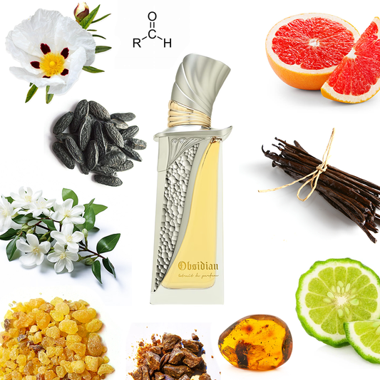 French Avenue OBSIDIAN