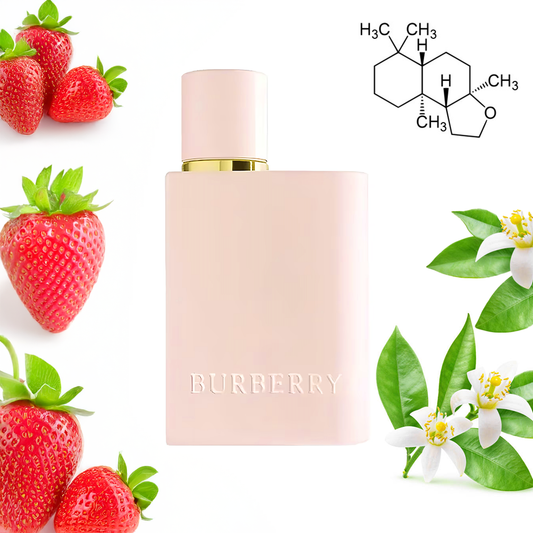 Burberry Her Intense 2024