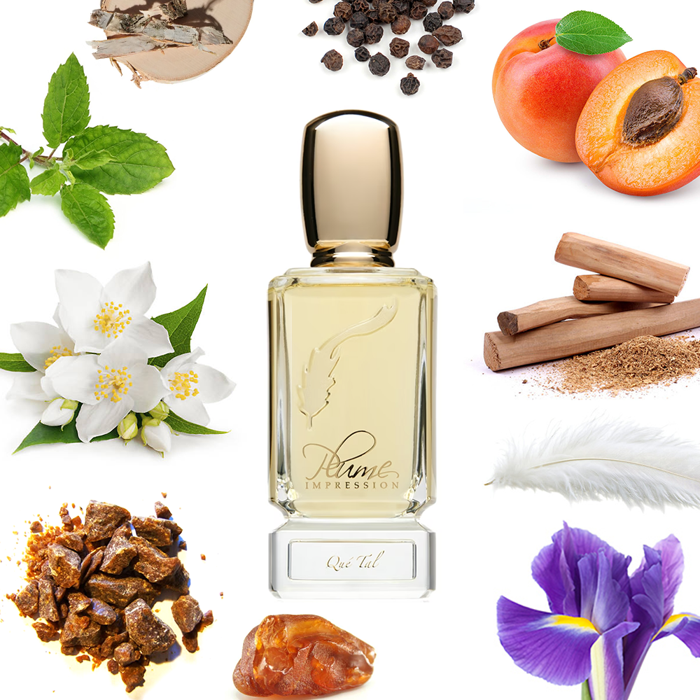 Plume Impression Que Tal