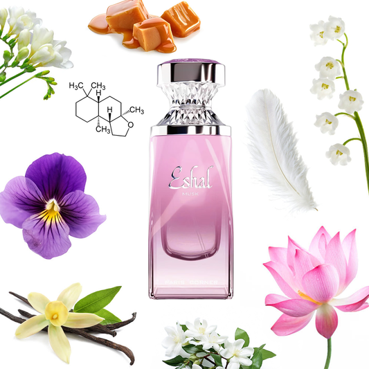 Paris Corner Eshal Musk