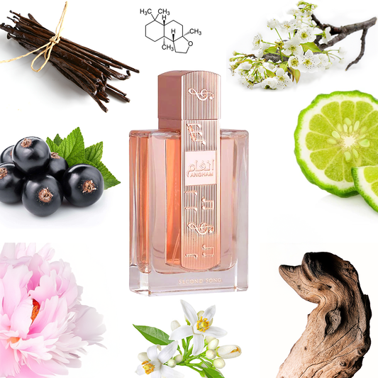 Lattafa Perfumes Angham Second Song