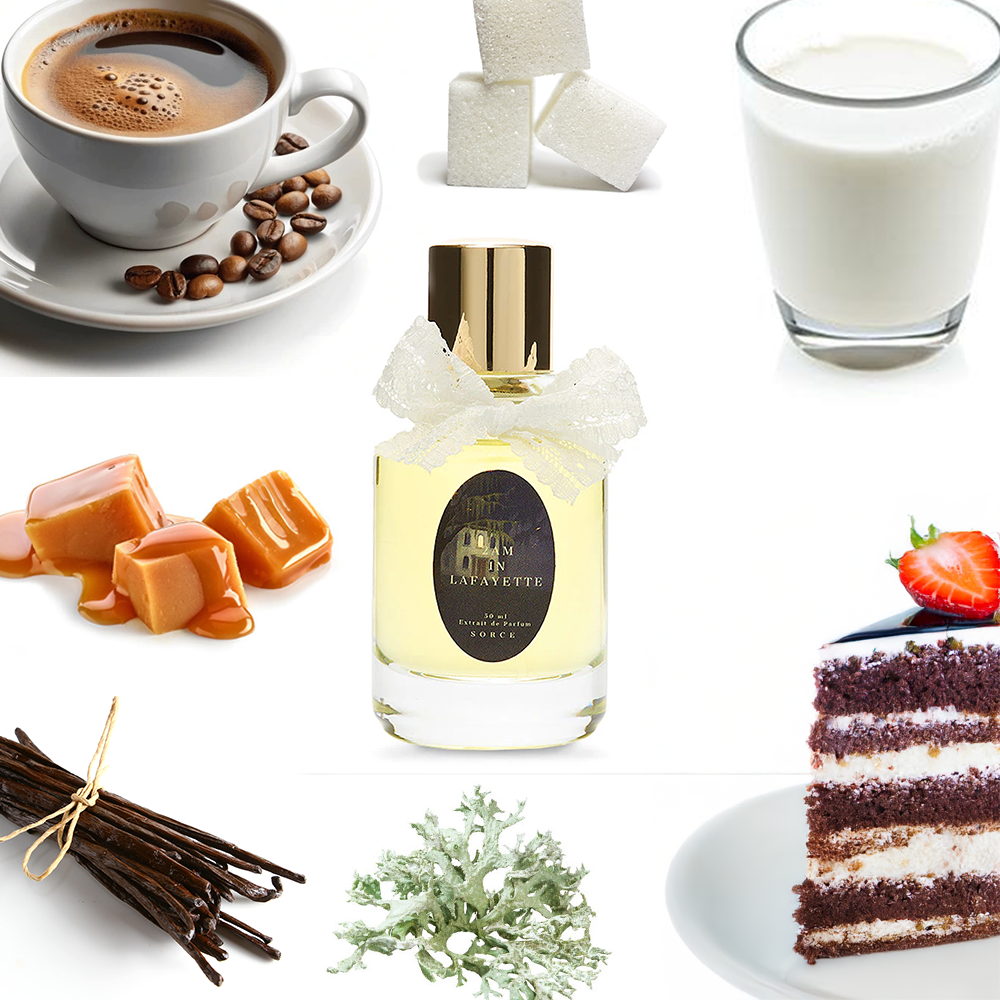 Sorce 2 AM in Lafayette