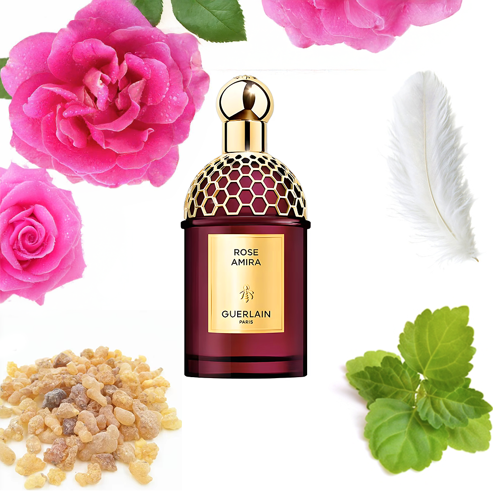 Guerlain Rose Amira Absolus Allegoria