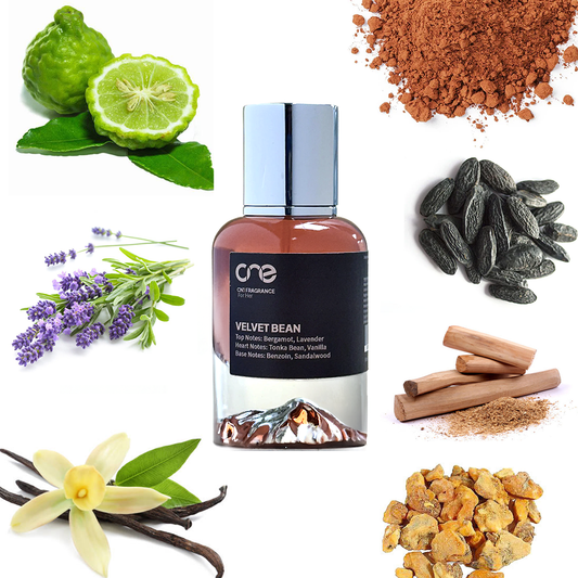 CN1 Fragrance Velvet Bean