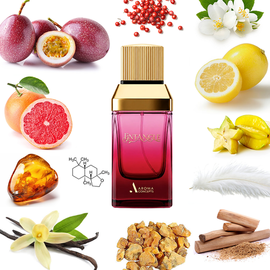 Aroma Concepts Entangle