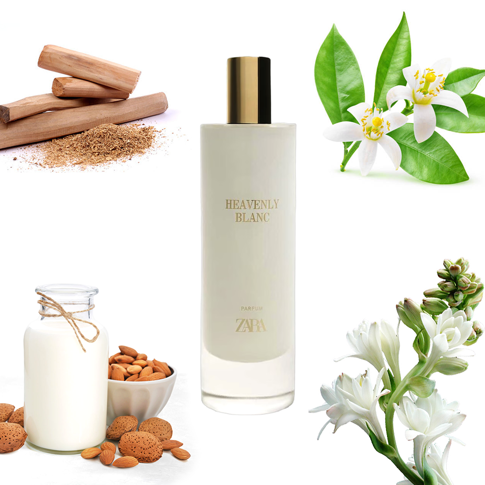 Zara Heavenly Blanc
