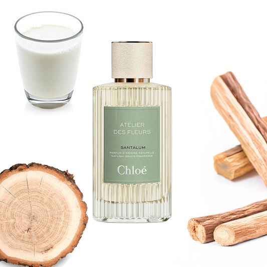 Chloé Santalum