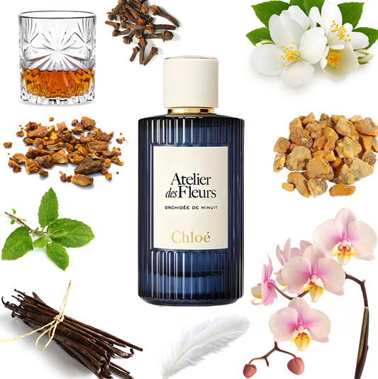 Chloé Orchidée de Minuit
