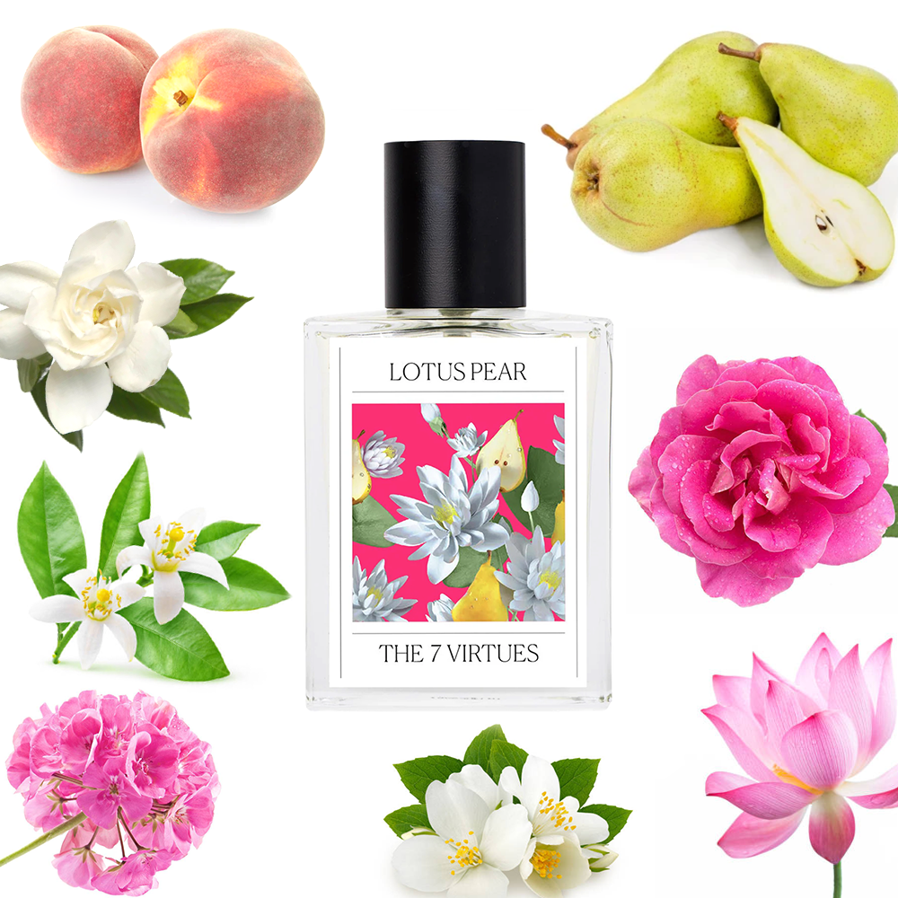 The 7 Virtues Lotus Pear