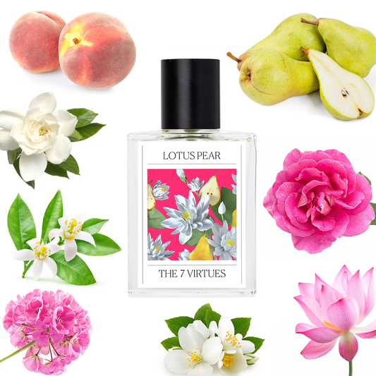 The 7 Virtues Lotus Pear