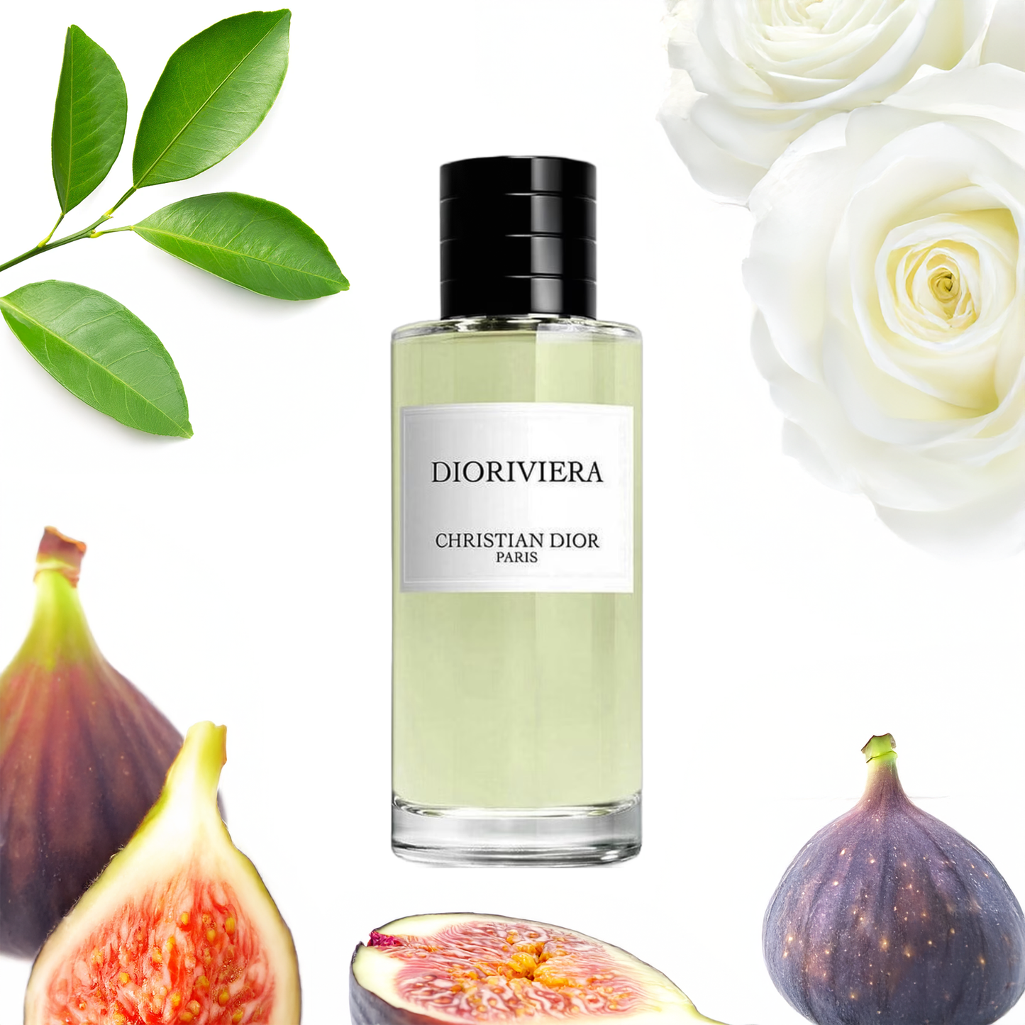 Dioriviera Dior