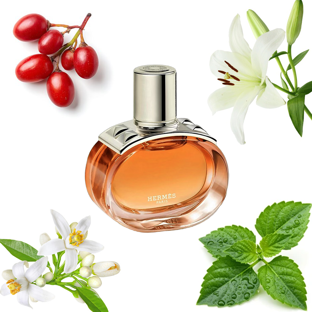 Hermès Barénia Pleine Fleur