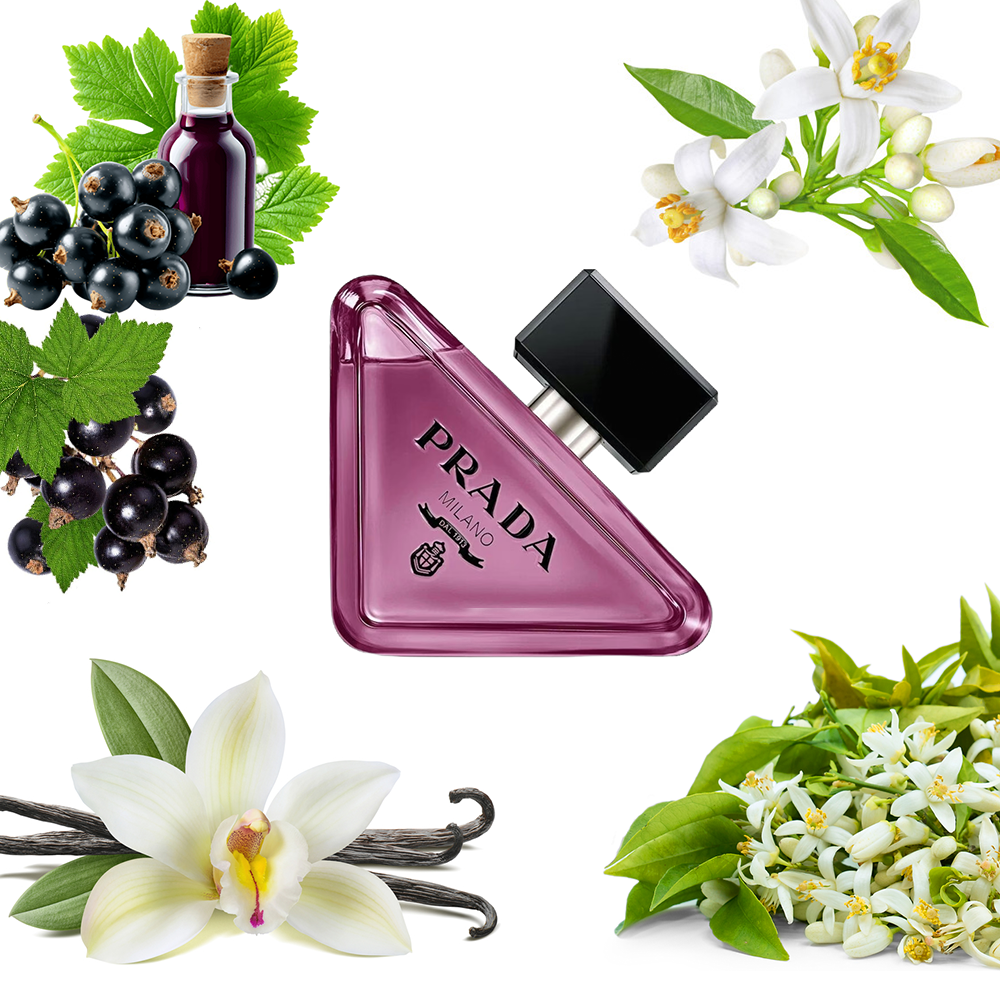 Prada Paradoxe Sweet Chemistry
